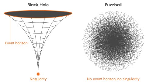black hole and fuzz